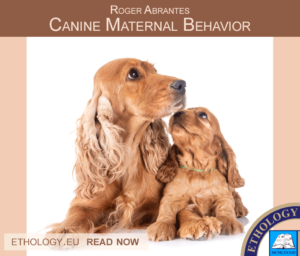 Canine Maternal Behavior Cocker Spaniels