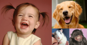 LaughterSpecies