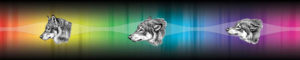 Behavior is like the spectrum of light (behaviorspectrum)