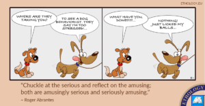 Are Our Dogs Stressed? (Chuckle-at-the-serious)