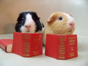 GPreading