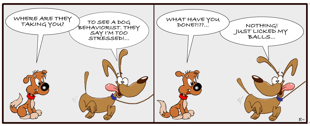 Dog Stress – Licked My Balls