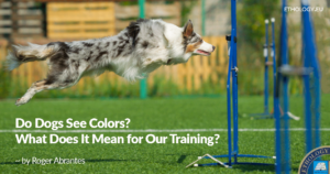 Do Dogs See Colors