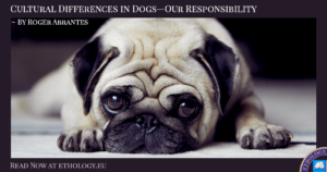 Cultural Differences In Dogs