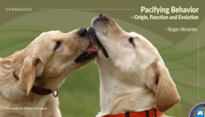 Pacifying-Behavior