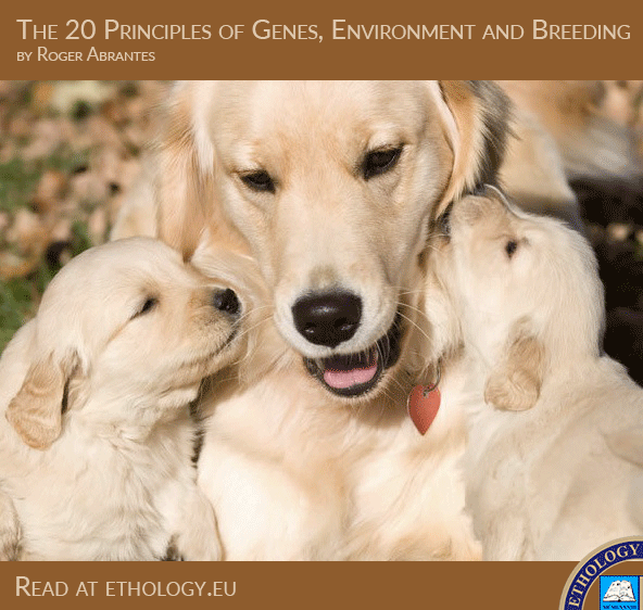 The 20 Principles of Genes, Environment and Breeding