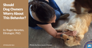 Should Dog Owners Worry About This Behavior?
