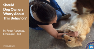 Should Dog Owners Worry About This Behavior?