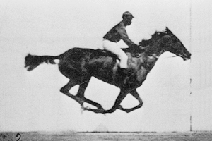 Horse_animated_gallop