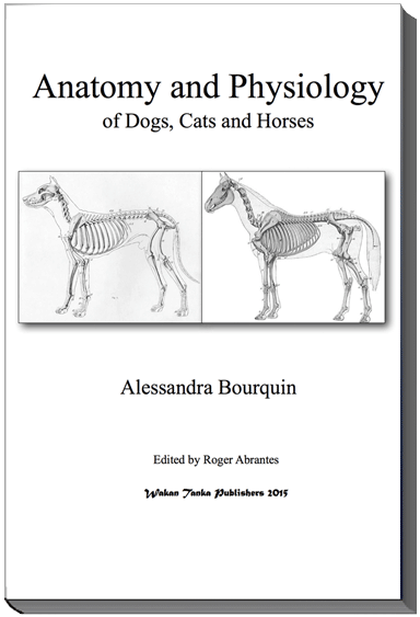 AnatomyAndPhysiologyBookCover-384x563