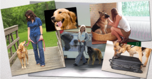 AnimalLearning3