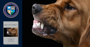 CanineProblemBehaviorCourse