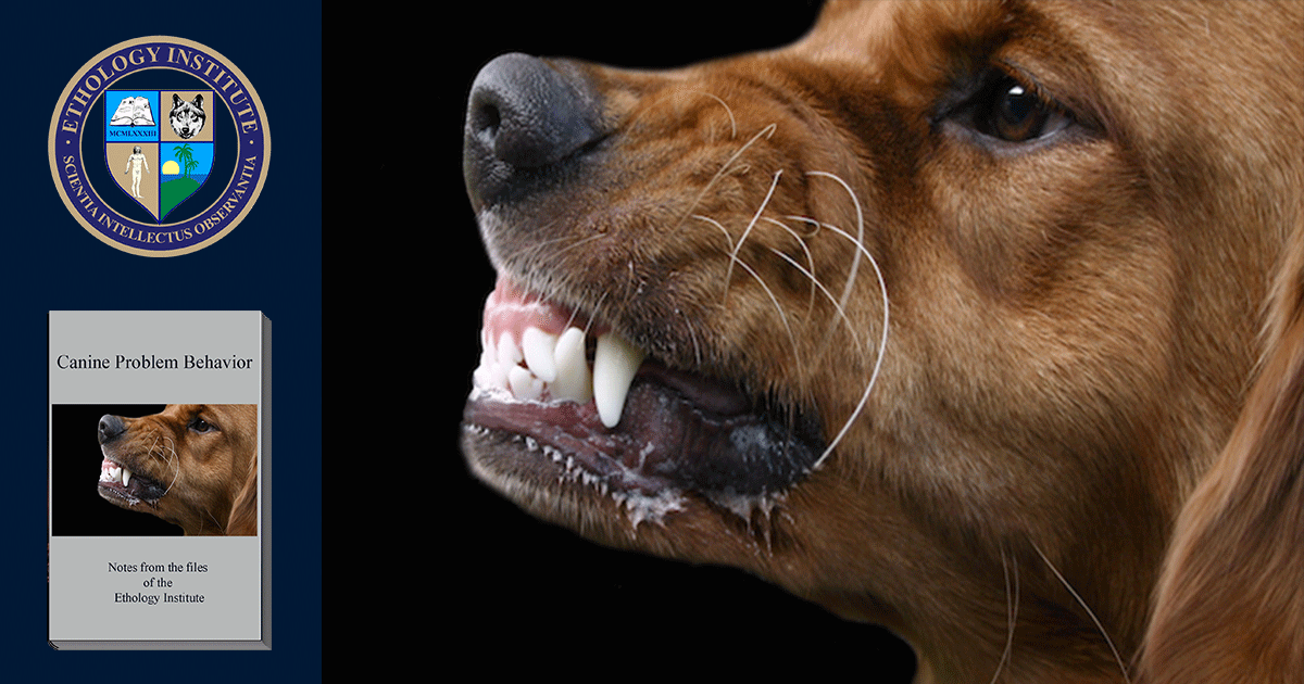 CanineProblemBehaviorCourse