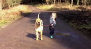 Relationship Child Dog (ChildDogPuddle-600x326.png)