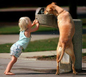 ChildHelpsDog