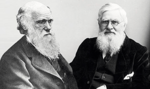 DarwinAndWallace