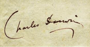 DarwinSignature