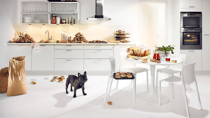 DogInKitchenWallpaperCraft