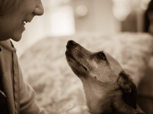 when you cannot improve on silence, be quiet (DogOwnerTalkingToDog).