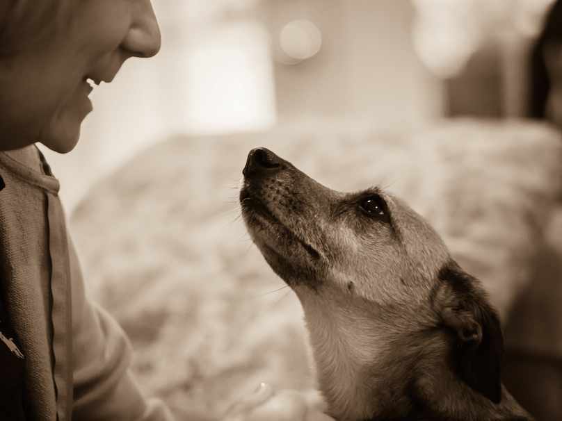when you cannot improve on silence, be quiet (DogOwnerTalkingToDog).
