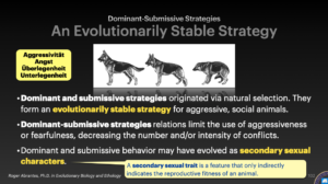 Dominant-Submissive Strategies
