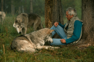 DutcherWithWolves