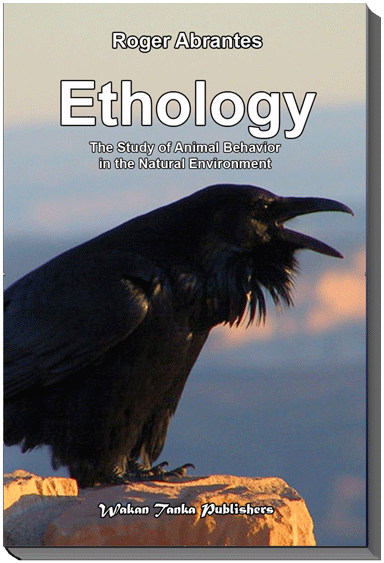 EthologyBookCover-384x563