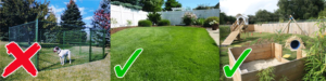 FencedBackyardForDog