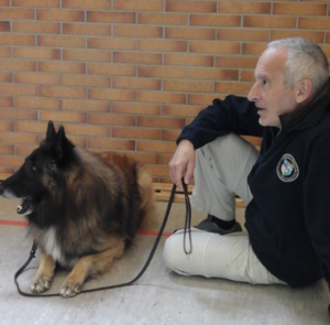 RAA and Dog Resting
