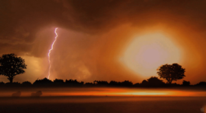 ThunderSavanna