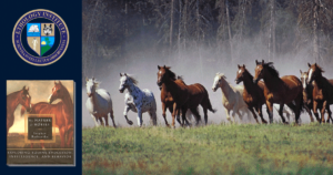 EquineBehaviorCourse