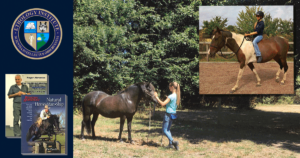 EquineProficiencyVerificationCourse