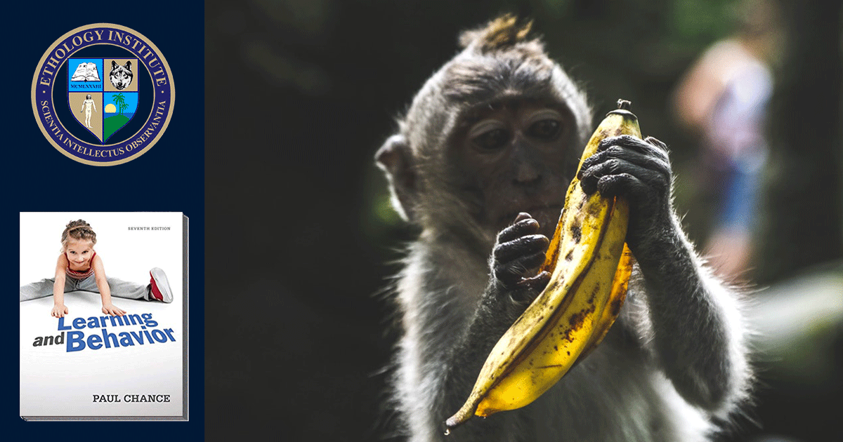 LearningAndBehaviorCourse