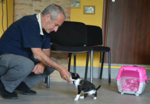 Roger Abrantes And Cat 1