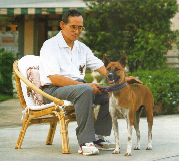 Tongdaeng