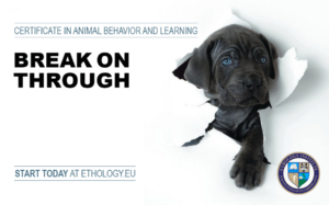 Certification Programs (Break on Through)