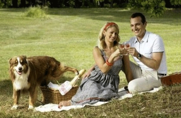 The Biggest Difference Between Humans and Dogs (RationalEmotionalBehavior2)