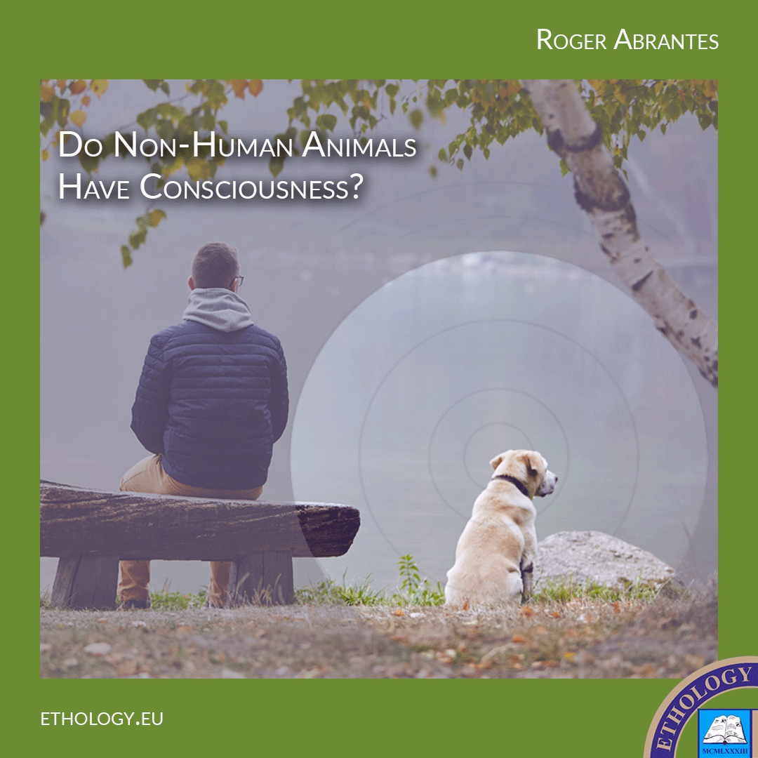 Do Non-Human Animals Have Consciousness?