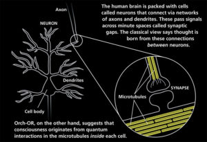 Orch OR Consciousness