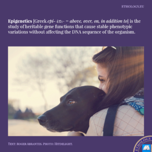Canine Epigenetics