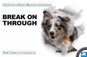 Certificate in Animal Behavior and Learning