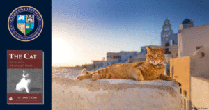 FelineBehaviorAndMisbehaviorCourse
