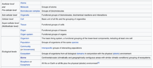 Biological Organization