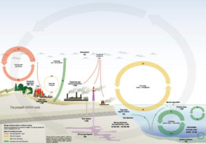 Earth System