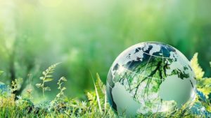 Ecology