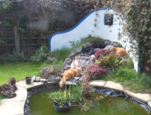 Anabela's Garden