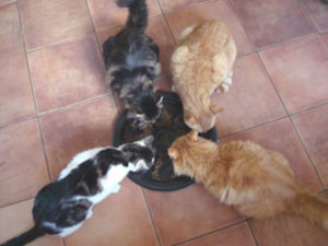 Group