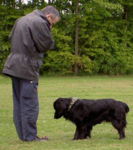 Roger Abrantes And Dog (Yes/No)