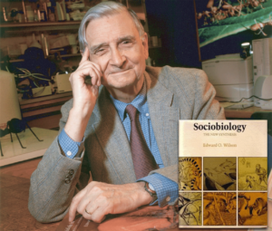 Edward O Wilson