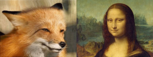 Rational Animal